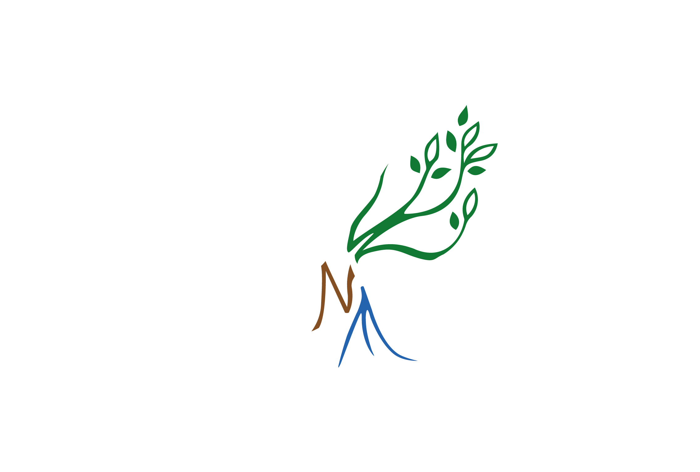 Logo WNE_parafondonegro